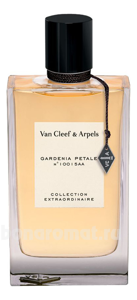 Van Cleef & Arpels Collection Extraordinaire Gardenia Petale