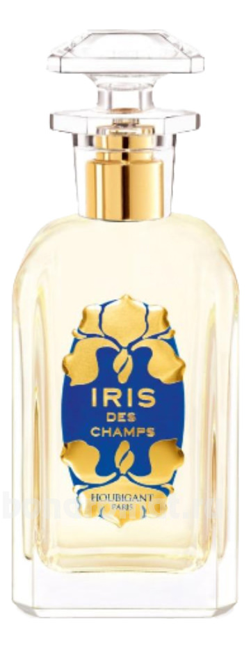 Iris Des Champs