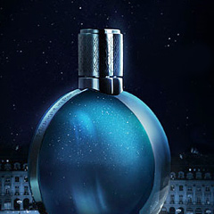 Van Cleef & Arpels Midnight in Paris