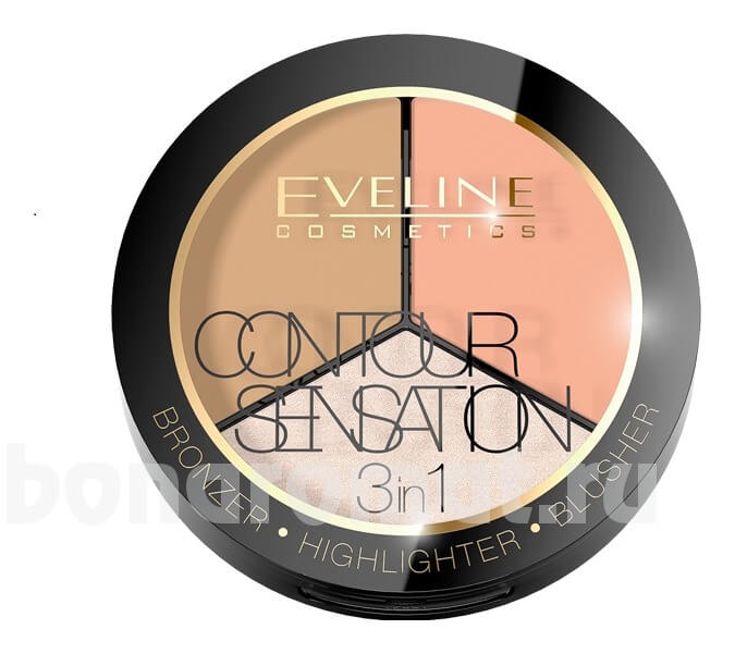     3  1 Contour Sensation
