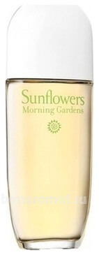 Sunflowers Morning Gardens