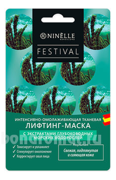 -  -      Festival