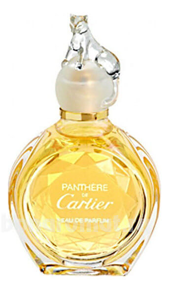 Panthere 