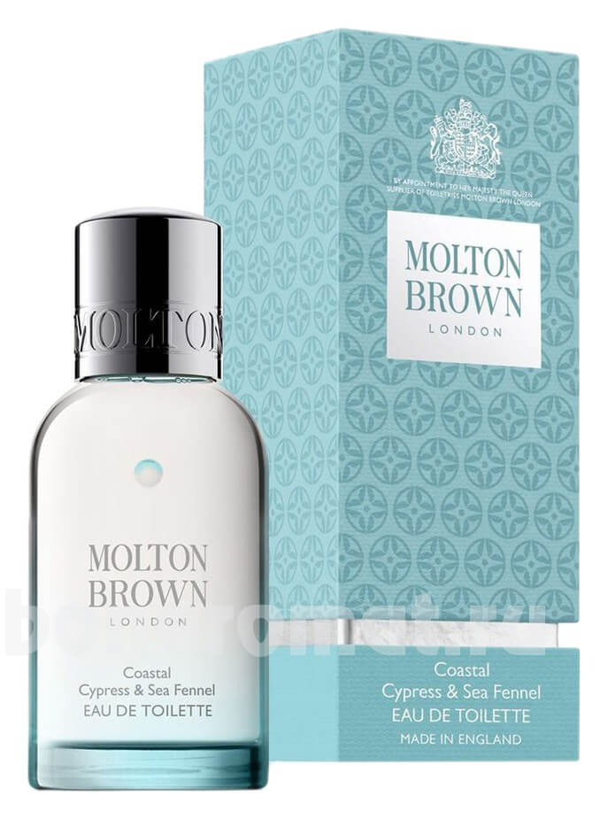 Coastal Cypress & Sea Fennel