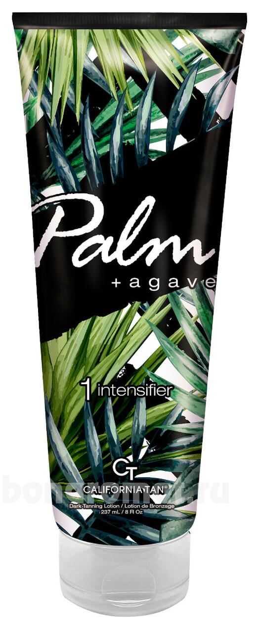      Palm Agave 1 Intensifier