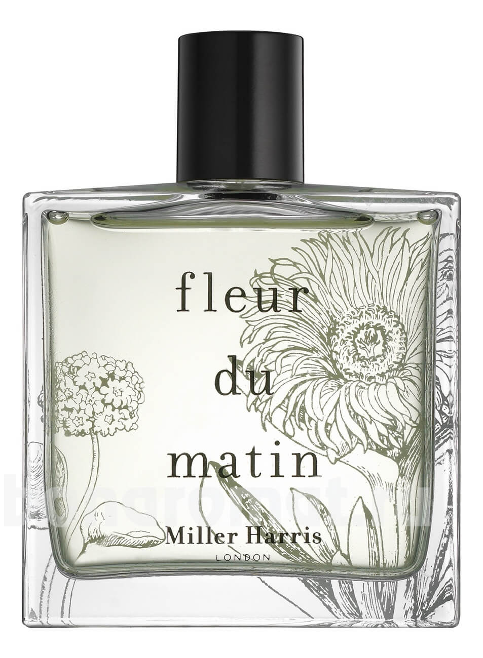 Fleur Du Matin