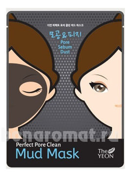       Perfect Pore Clean Mud Mask
