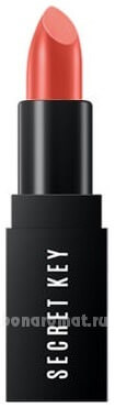    Fitting Forever Lip Stick 3,5