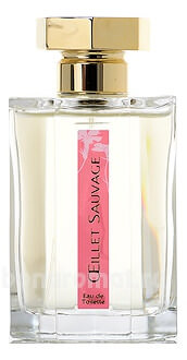 Oeillet Sauvage