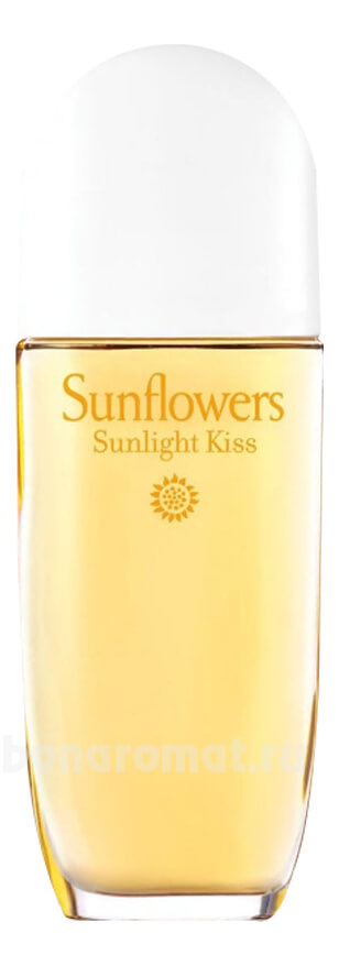 Sunflowers Sunlight Kiss