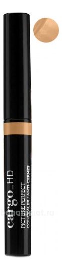  HD Picture Perfect Concealer 2,5