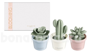   Blooming Friends  (       )