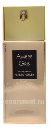 Ambre Gris