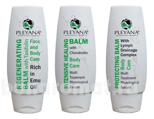     Body Therapy (    +    +    )