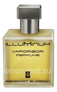 Bergamot Blossom