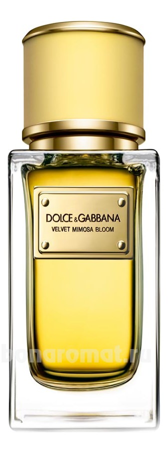 Dolce Gabbana (D&G) Velvet Mimosa Bloom