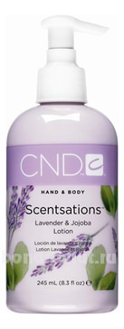        &  Scentsations Washes