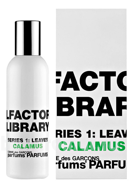 Olfactory Library Series 1: Leaves Calamus