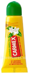    Lip Balm Tube Jasmine Green Tea
