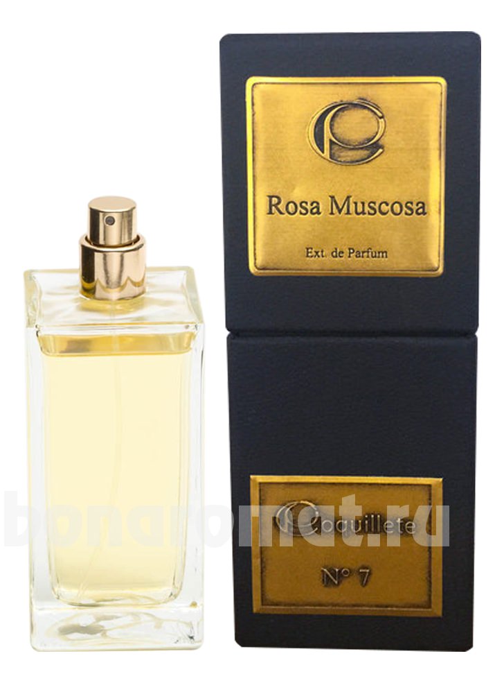 Rosa Muscosa
