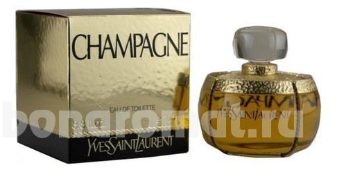 YSL Champagne