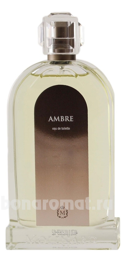 Ambre