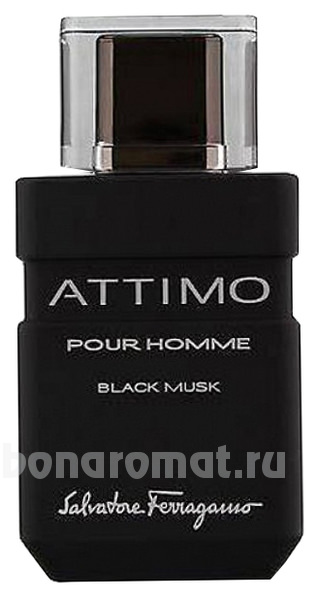 Attimo Black Musk Pour Homme