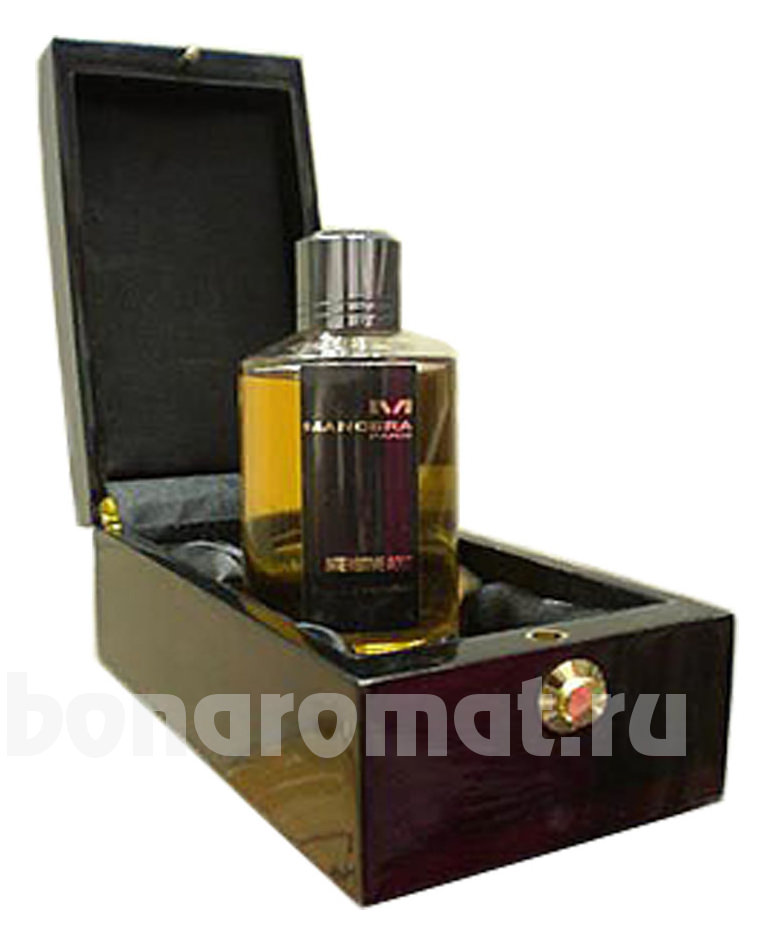 Intensitive Aoud Black