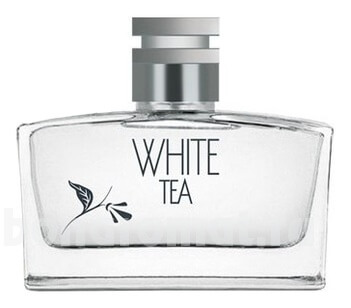 Novaya Zarya White Tea