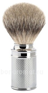   Traditional (    Silvertip)