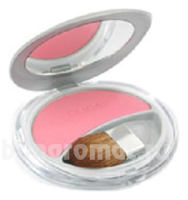   Silk Touch Compact Blush