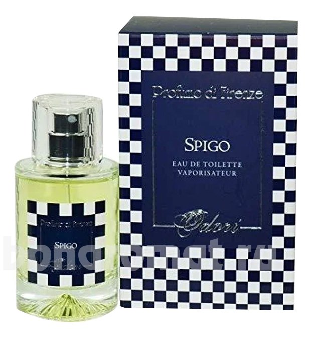 Spigo Odori