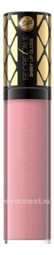    Secretale Shiny Lip Gloss