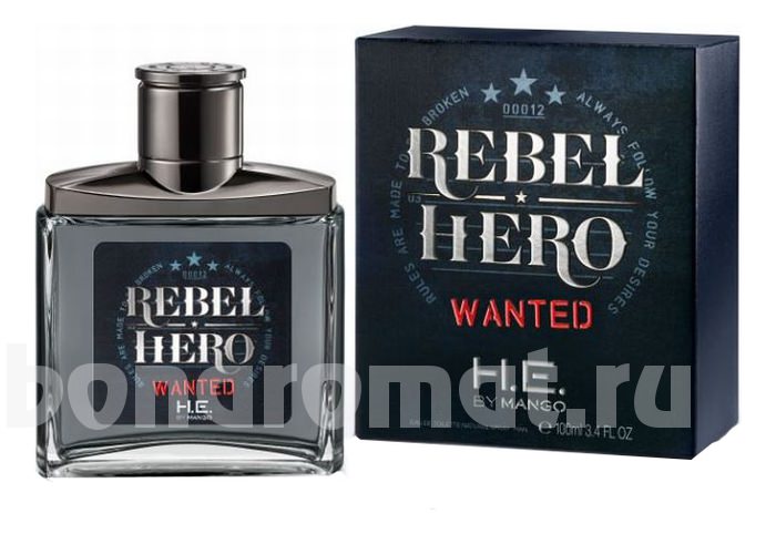 Rebel Hero Wanted