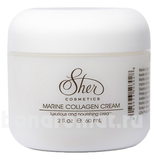        Marine Collagen Cream