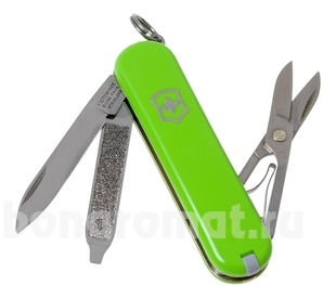 - Classic SD Colors Smashed Avocado 58, 7  0.6223.43G