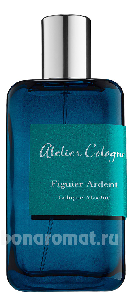 Figuier Ardent