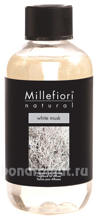     Natural Muschio Bianco