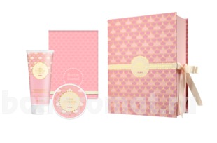    Miss Princess Medium 1 (    100  )