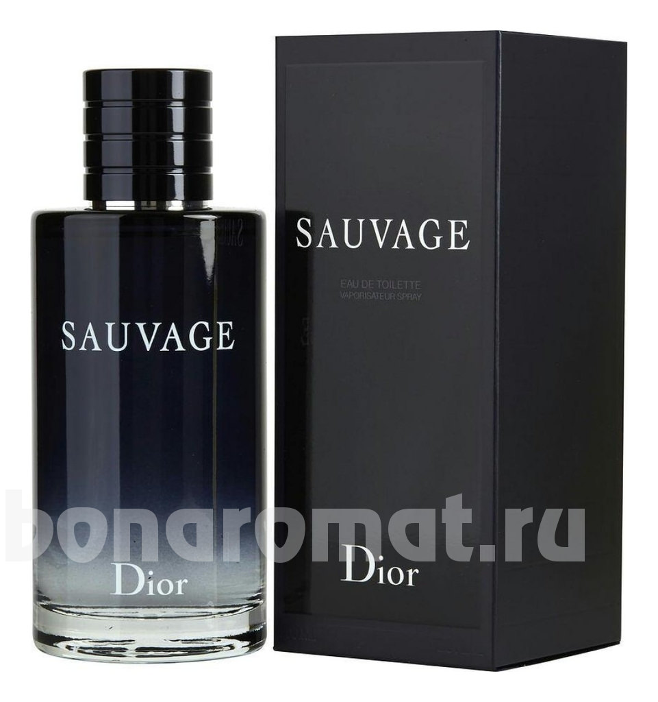 Sauvage 2015