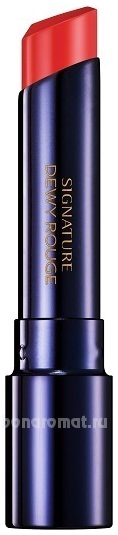   Signature Dewy Rouge 3,4