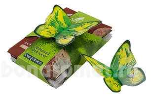       Compliment  (  No111 2 +    No115 1 +   No101 1 +   No105 1)