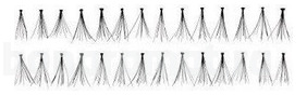   Daily Beauty Tools Pro Eyelashes