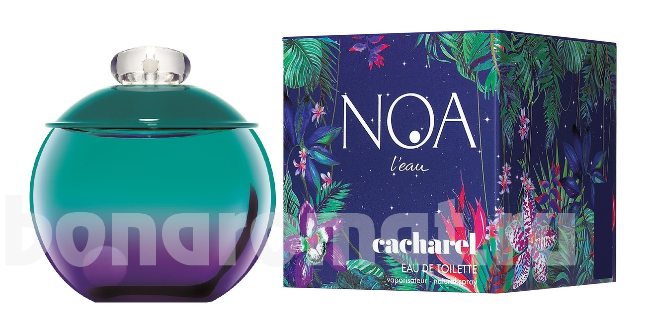 Noa L'Eau 2016