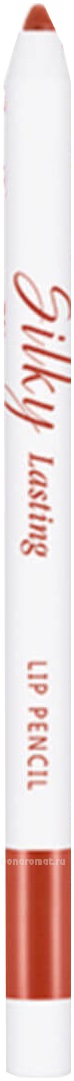     Silky Lasting Lip Pencil 0,25