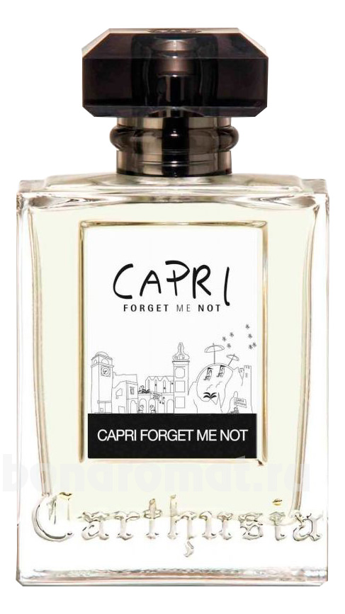 Capri Forget Me Not