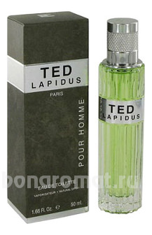 TED men