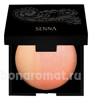  - Brilliant Blush & Highlighter