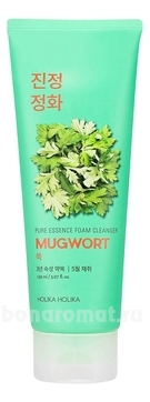         Pure Essence Mugwort Foam Cleanser