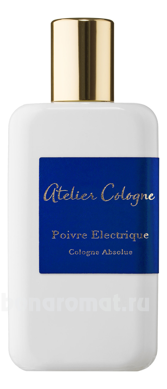 Poivre Electrique